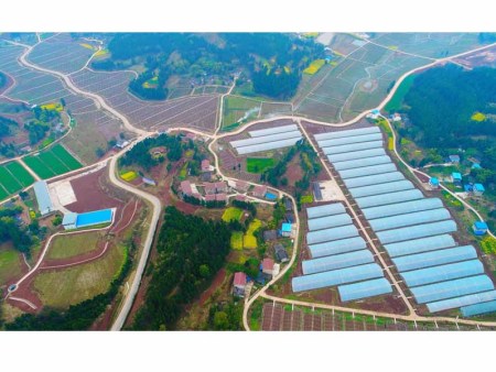 顺鑫农业科技示范园