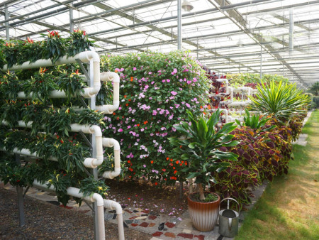 北京顺义和休闲采摘基地