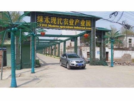 绿禾现代农业产业园水肥一体化项目