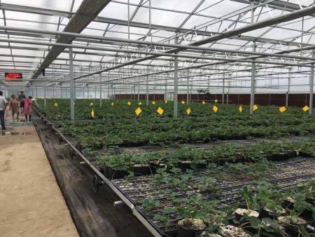 台儿庄区2018年水肥一体化工程示范项目