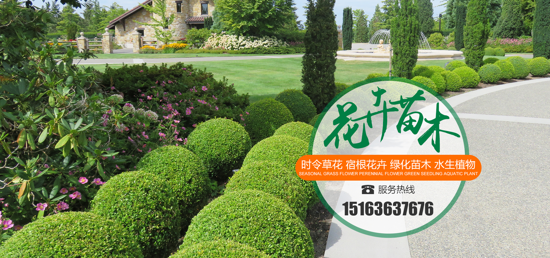 绿化苗木批发基地