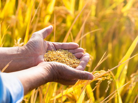 江苏福森生态工程有限公司