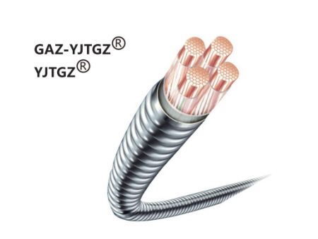 联锁铠装钢护套高层建筑专用电力电缆