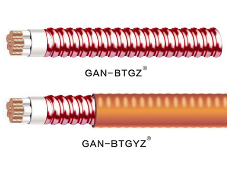 GAN-BTGYZ/GAN-BTGZ钢护套电力电缆