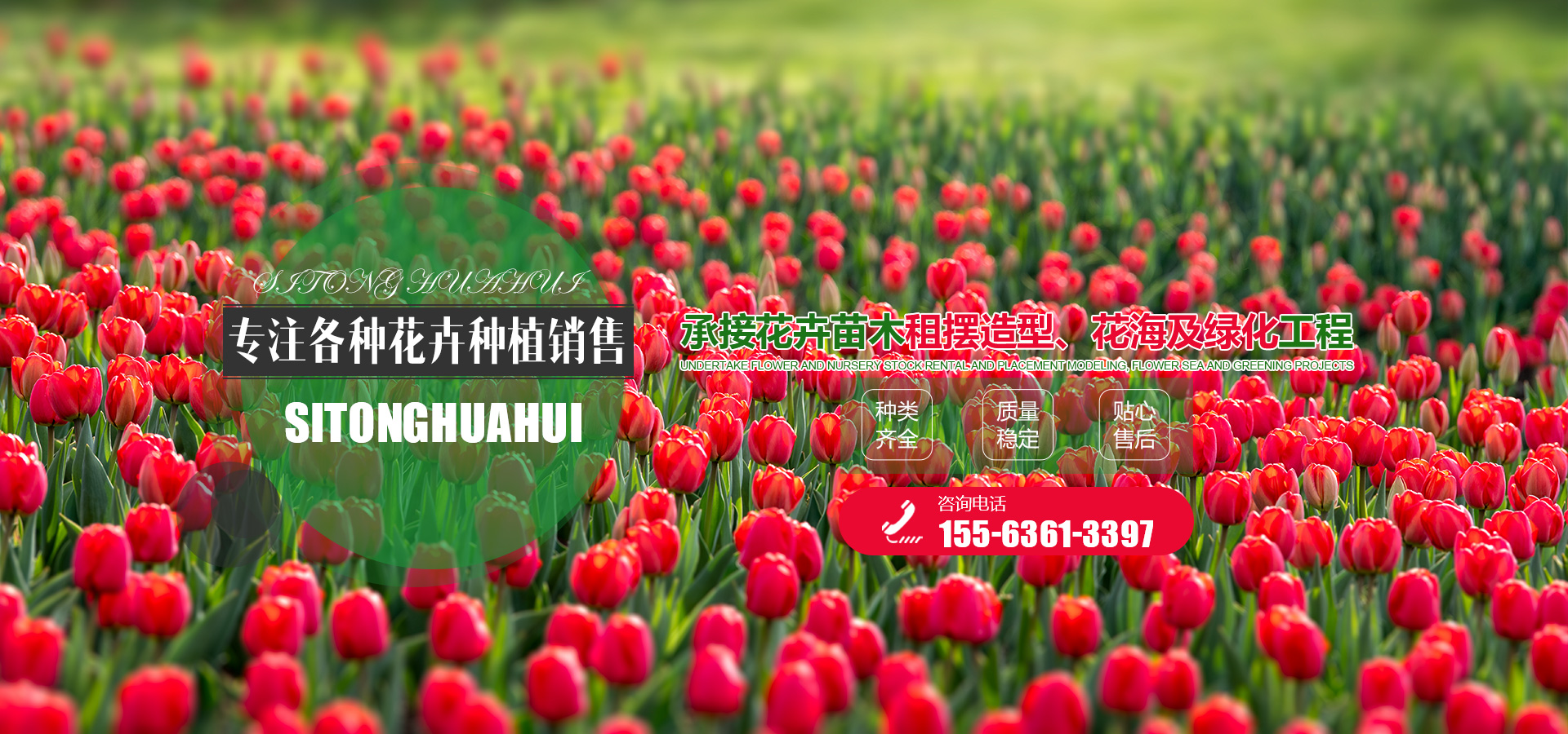 山东花卉批发哪里便宜