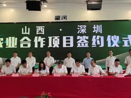 合作项目