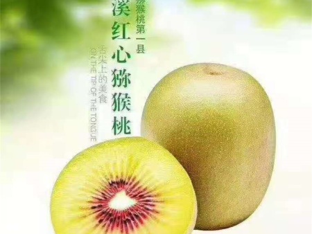 微信图片_20201121222716