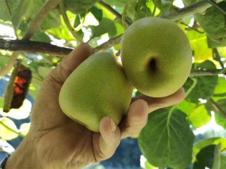 微信图片_20201121222640