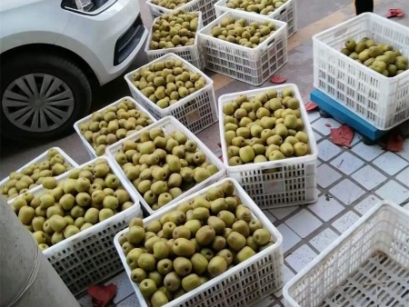 微信图片_20201120201851