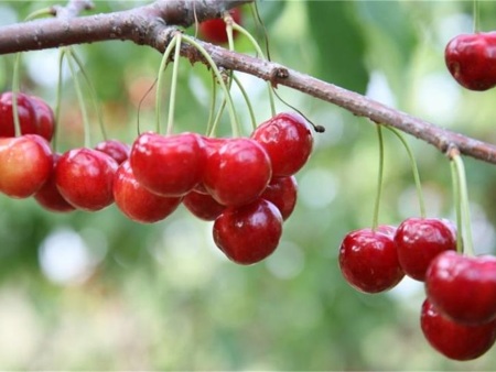 微信图片_20201121223023