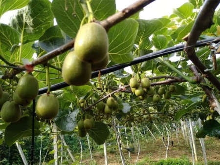 微信图片_20201121222806