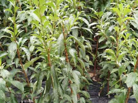 微信图片_20201121223845