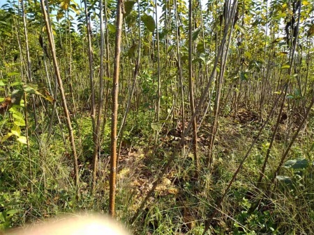 微信图片_20201121223032