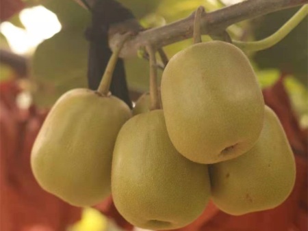 微信图片_20201120201828