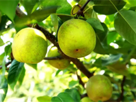 efae5b4f2b5d82cd6aaafeb8aba19bdf_e5a4a9bfee204a8b89fd91b3b4933022