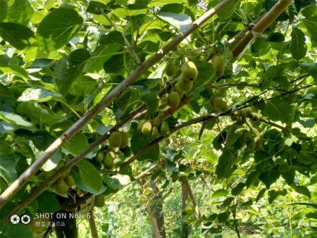 微信图片_20201120201944