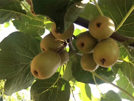 微信图片_20201120201901