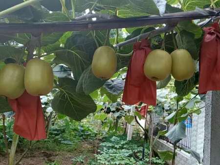 微信图片_20201121222748