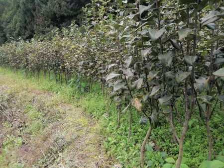 微信图片_20201121223719