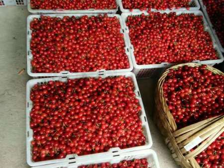 微信图片_20201121223014