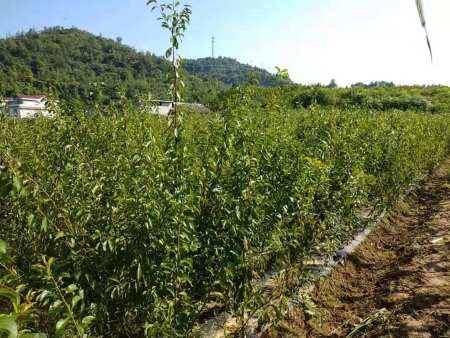 微信图片_20201121224100