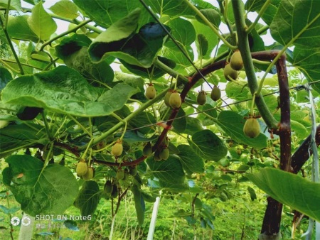 微信图片_20201120201957