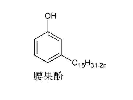 腰果酚 (cardanol)腰果壳油1,4-丁二胺 c4h14n24
