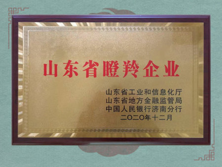 山东省瞪羚企业