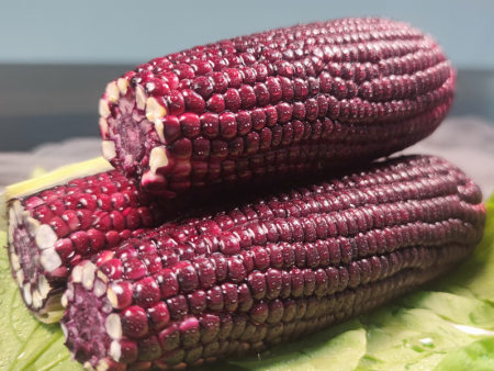 富铁高叶酸花青素玉米-河南华智营养科技有限公司