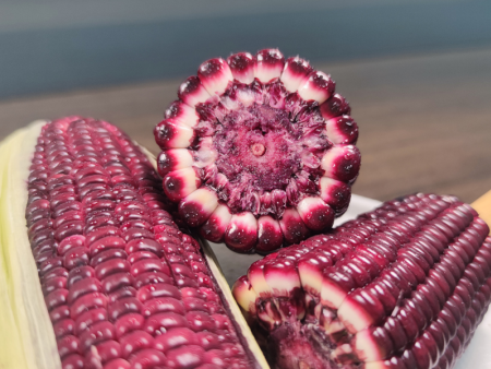 富铁高叶酸花青素玉米-河南华智营养科技有限公司