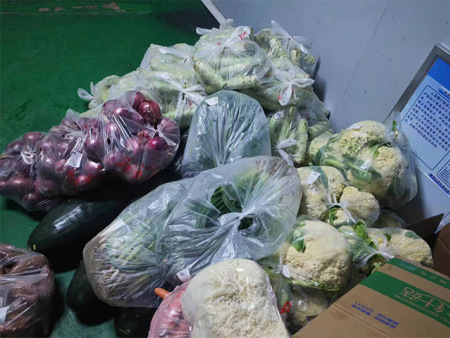 蔬菜挑选清洗