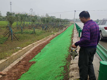 三维植被网安装