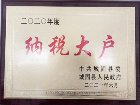 陕西合兴硅砂被评为城固县2020年度纳税大户