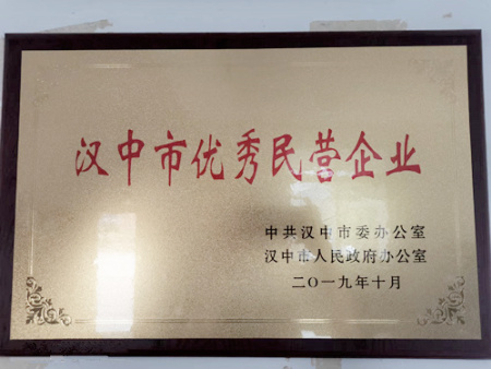 陕西合兴硅砂被评为汉中市优秀民营企业