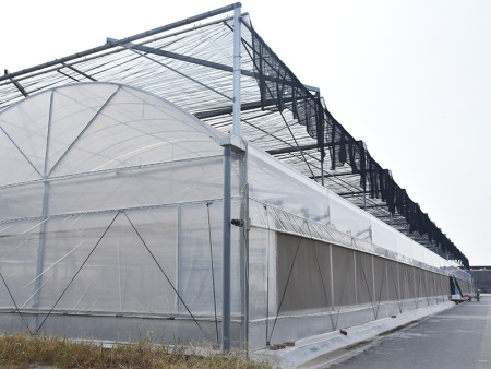 培育大棚