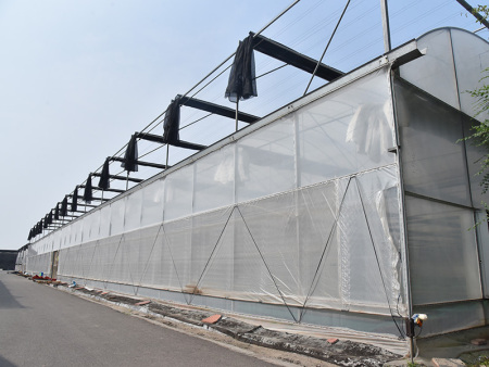 培育大棚