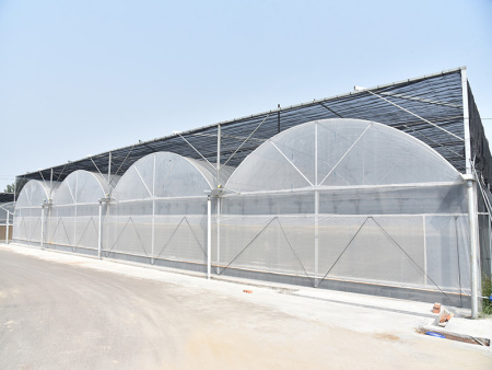 培育大棚