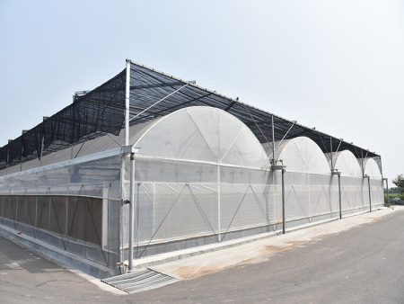 培育大棚