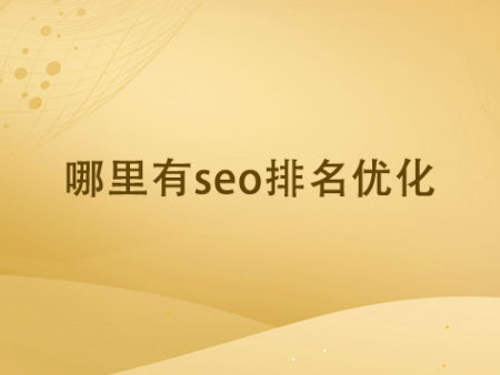 哪里有seo排名优化?