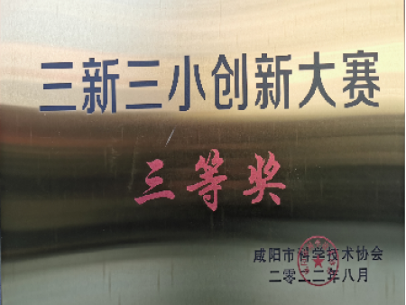 三新三小创新大赛