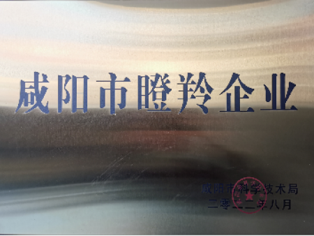 咸阳市瞪羚企业