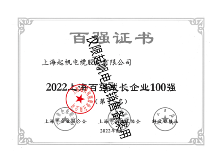 2022上海百强成长企业100强