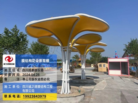 四川游乐场膜结构景观棚