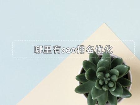 哪里有seo排名优化？