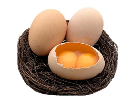 双黄蛋