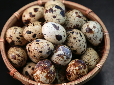 鹌鹑蛋