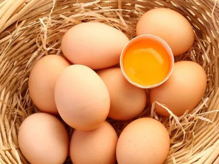 初生蛋