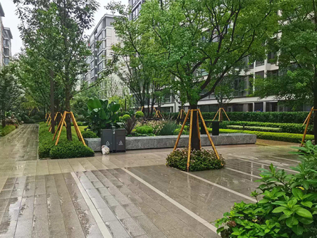 小区景观园林绿化