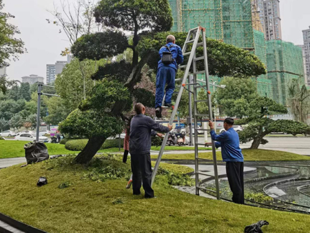 公园景观园林绿化