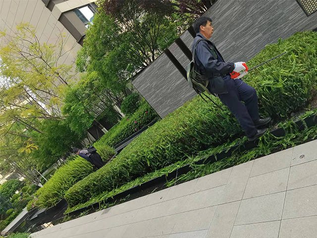 园林绿化工程施工包括哪些？